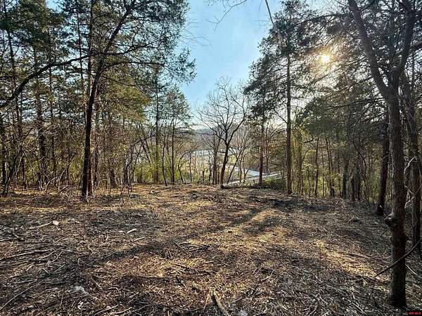 4.6 Acres of Land for Sale in Cotter, Arkansas