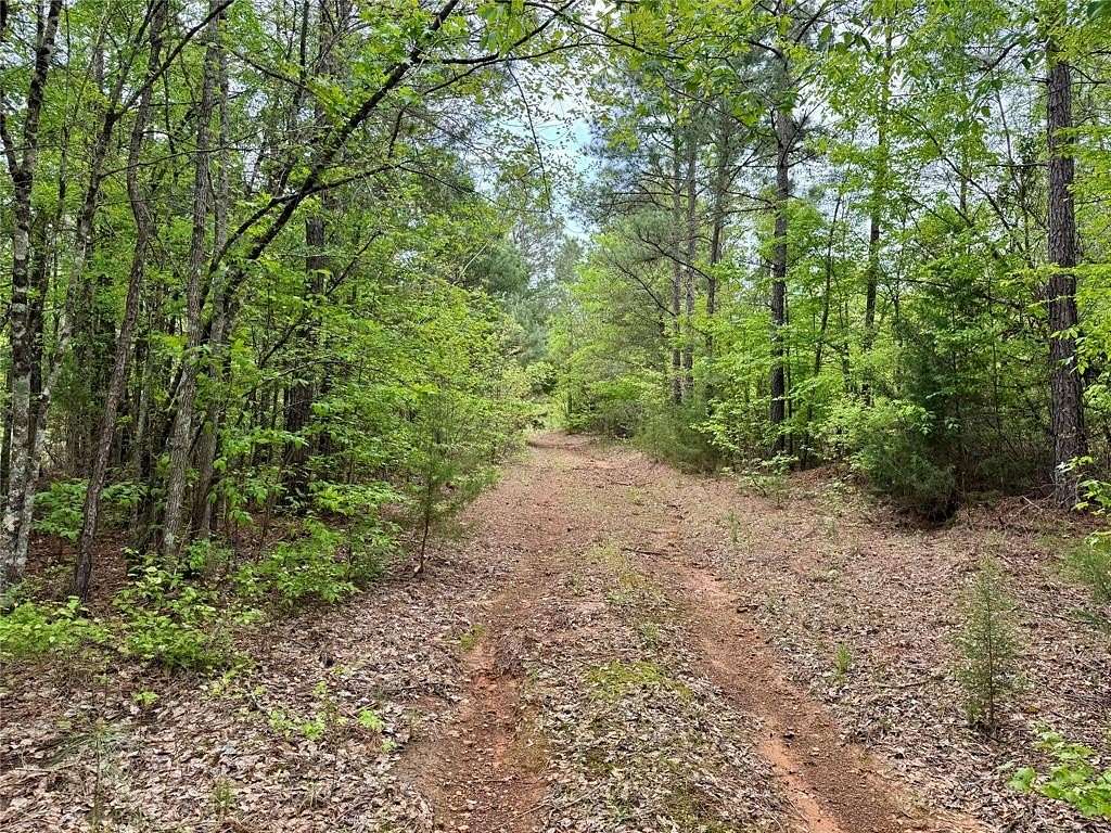 114 Acres of Recreational Land for Sale in Naples, Texas