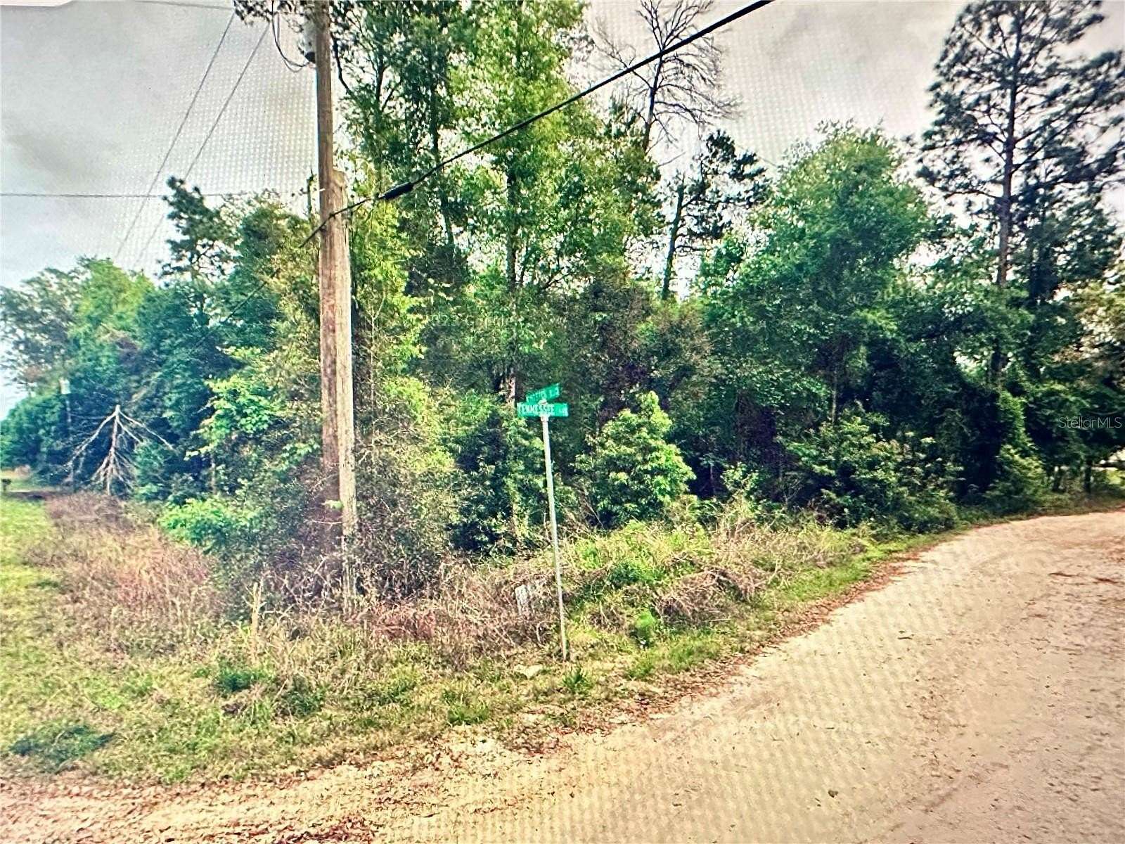 0.23 Acres of Residential Land for Sale in Satsuma, Florida