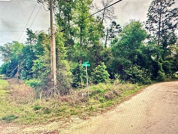 0.23 Acres of Residential Land for Sale in Satsuma, Florida
