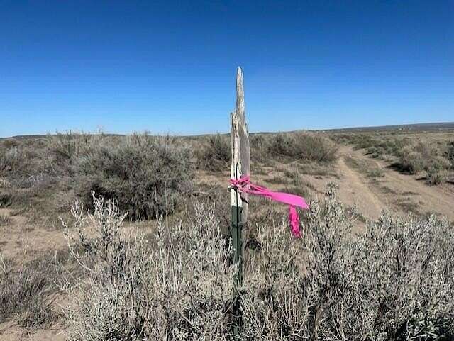 40 Acres of Land for Sale in Christmas Valley, Oregon