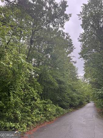 4.82 Acres of Residential Land for Sale in Stockbridge, Georgia