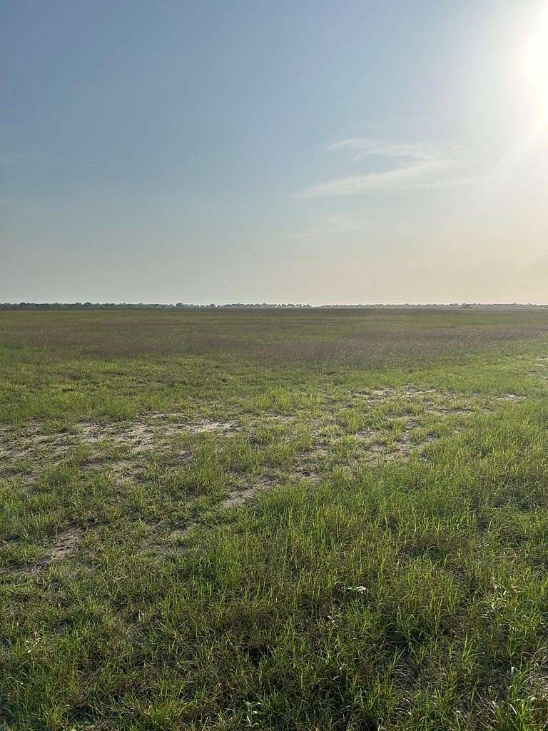150 Acres of Agricultural Land for Sale in Beeville, Texas