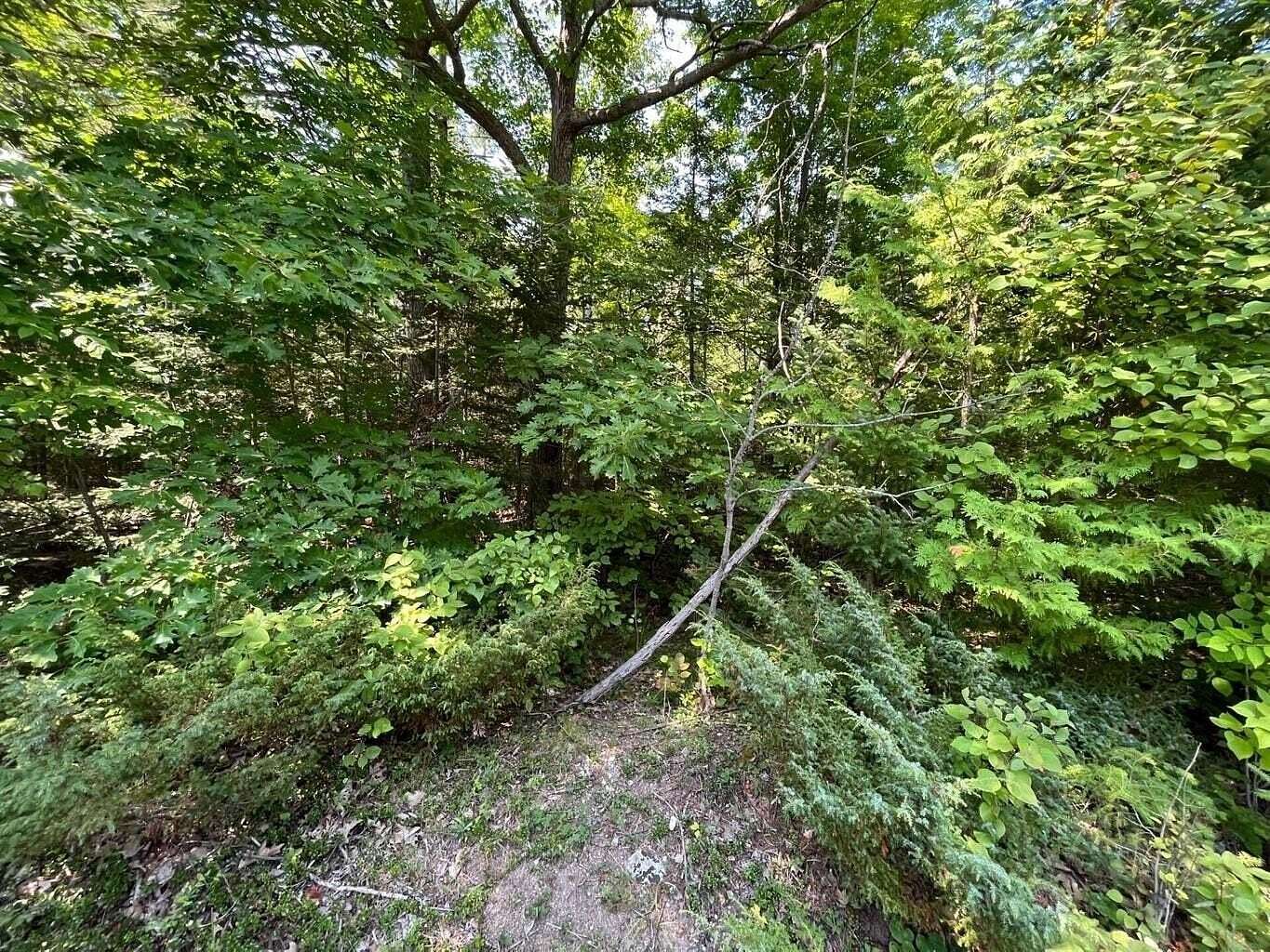 Land for Sale in Presque Isle, Michigan