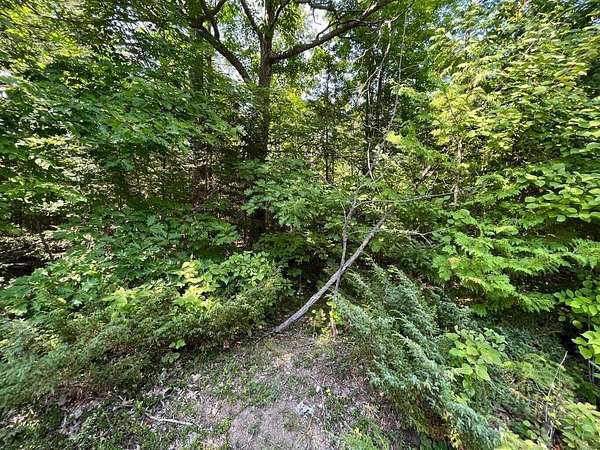 Land for Sale in Presque Isle, Michigan