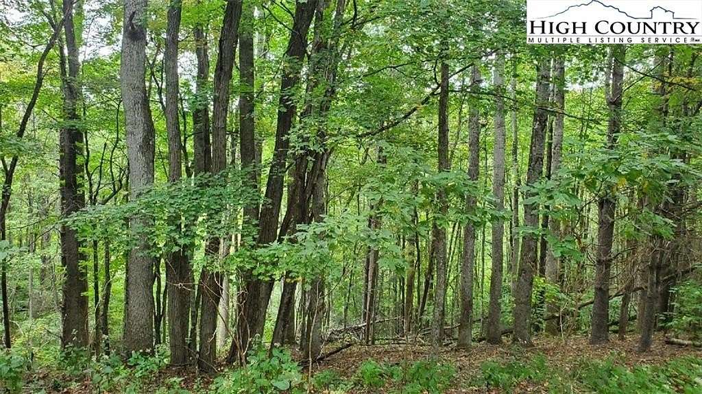 1.38 Acres of Residential Land for Sale in Elk Park, North Carolina