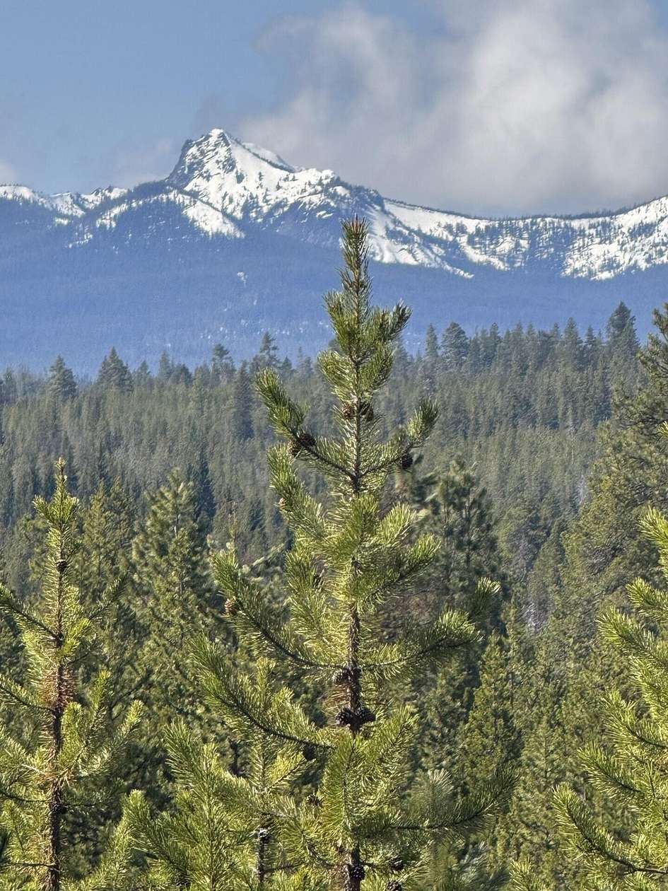 1 Acre of Residential Land for Sale in Crescent Lake, Oregon