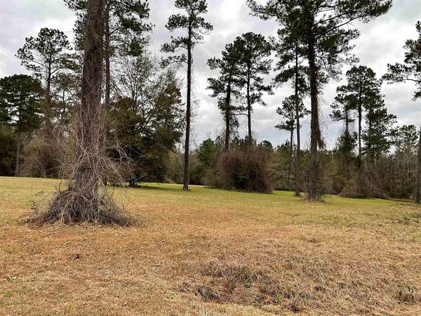 3 Acres of Residential Land for Sale in Havana, Florida