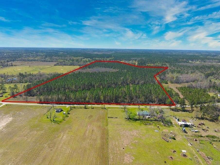 74.3 Acres of Land for Sale in Hahira, Georgia