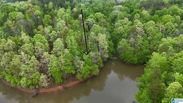 1 Acre of Residential Land for Sale in Woodland, Alabama