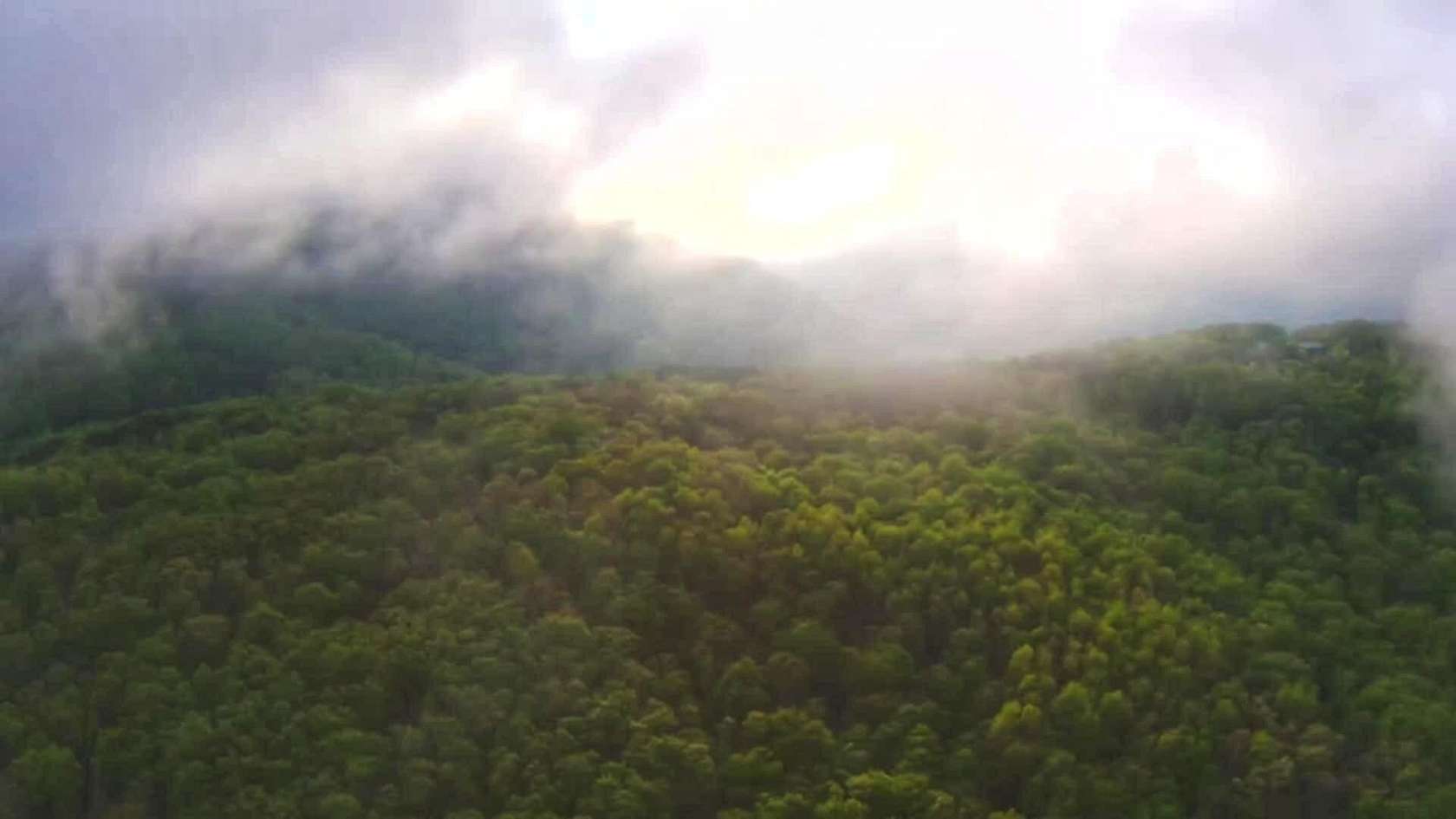 5.4 Acres of Land for Sale in Spring City, Tennessee