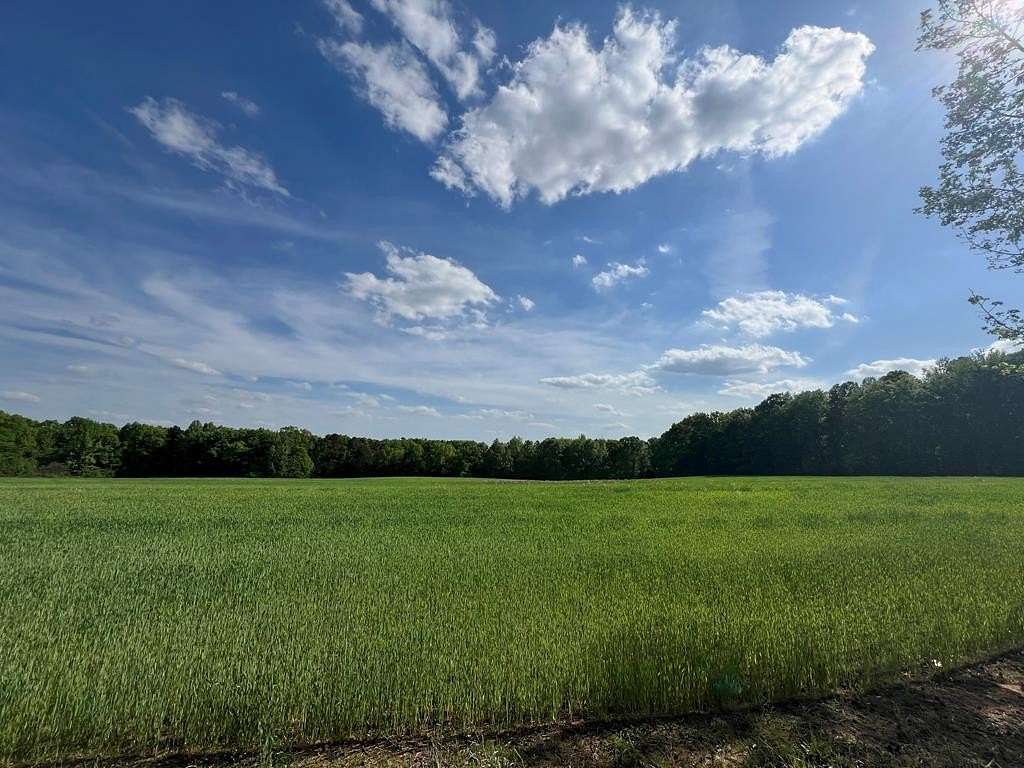 Residential Land for Sale in Alton, Virginia