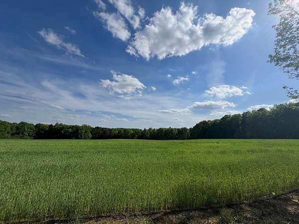 Residential Land for Sale in Alton, Virginia