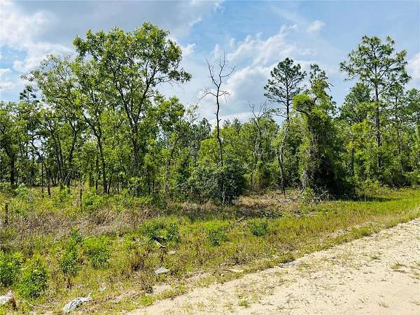 1 Acre of Residential Land for Sale in Williston, Florida