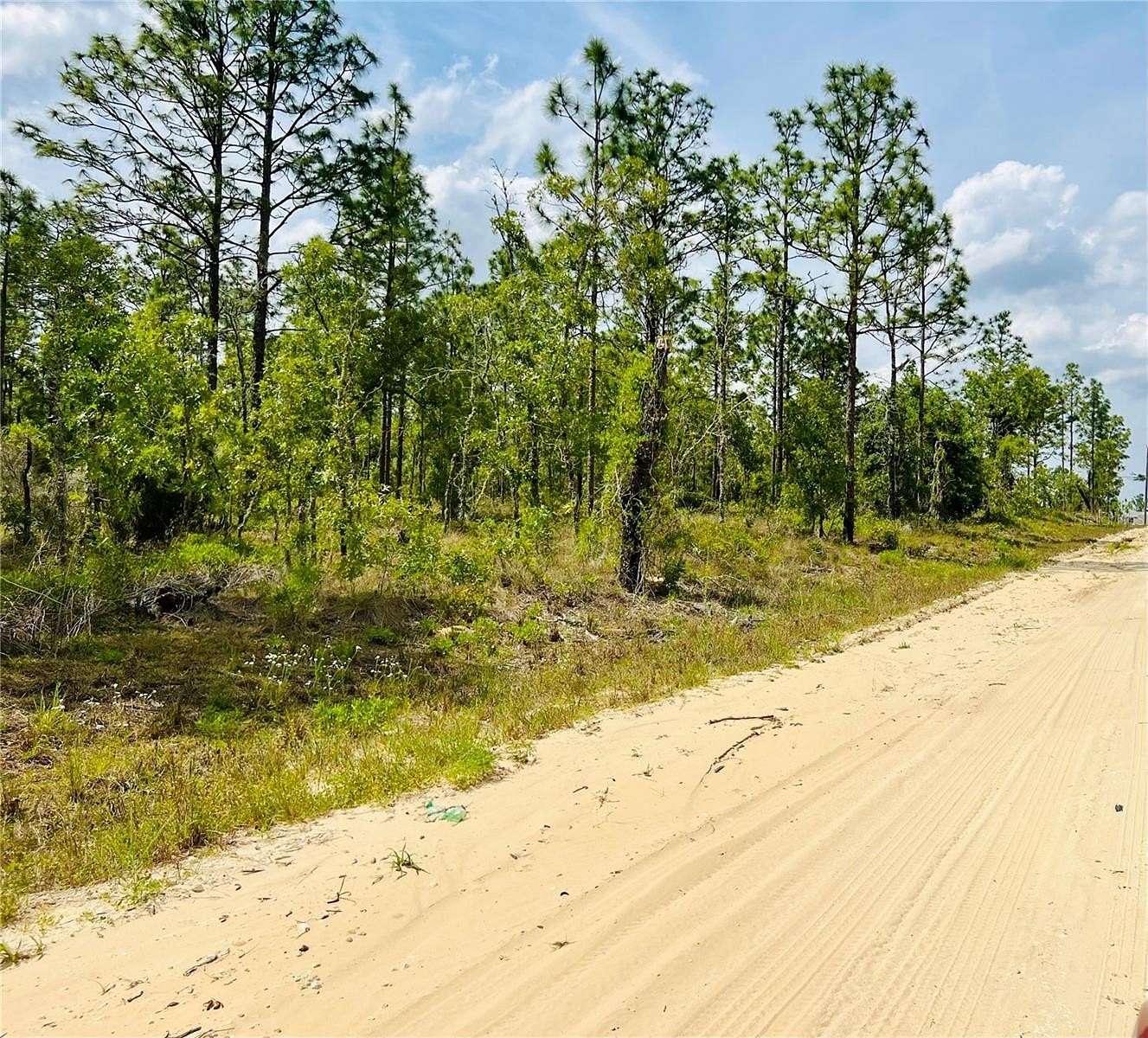 1 Acre of Residential Land for Sale in Williston, Florida