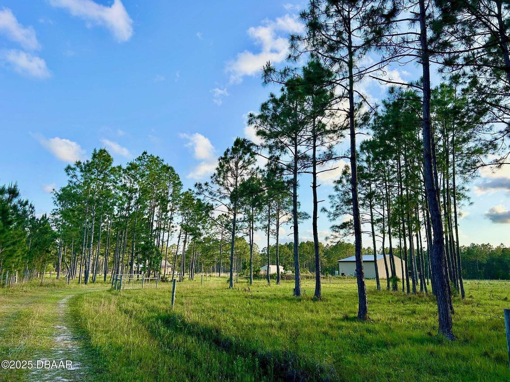 20 Acres of Agricultural Land for Sale in Ormond Beach, Florida