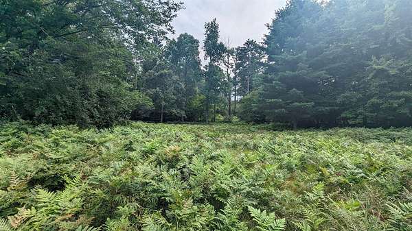 0.68 Acres of Land for Sale in Custer, Michigan