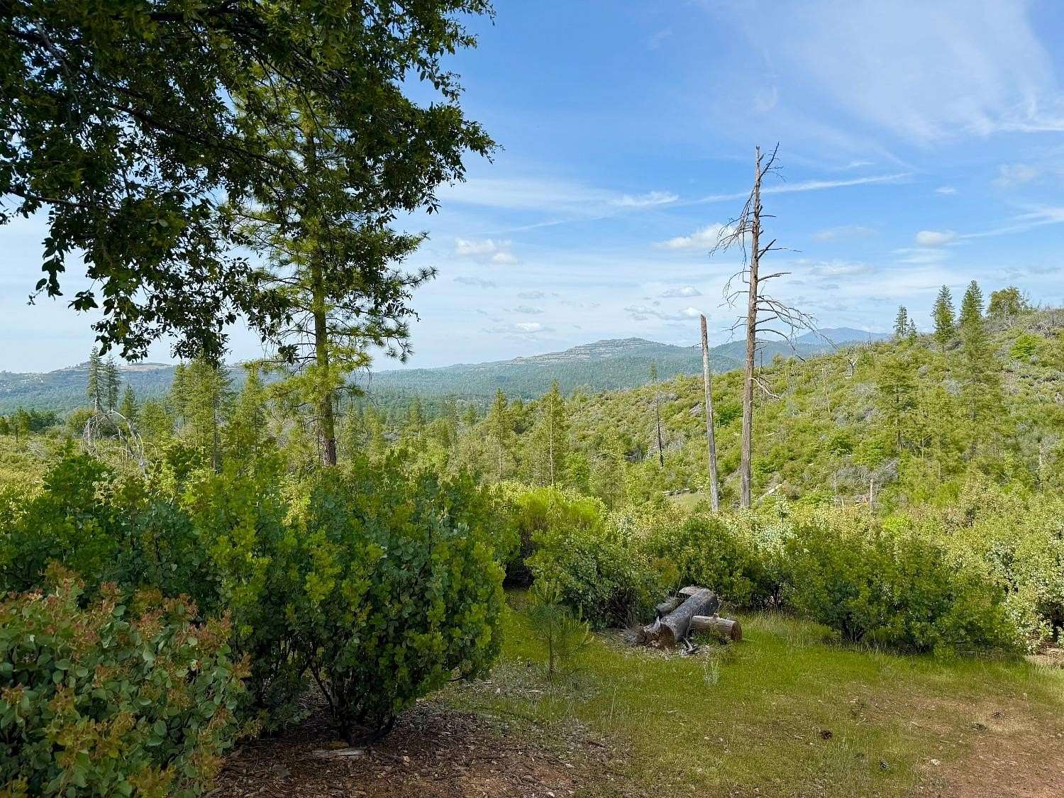 6.4 Acres of Residential Land for Sale in Sheep Ranch, California