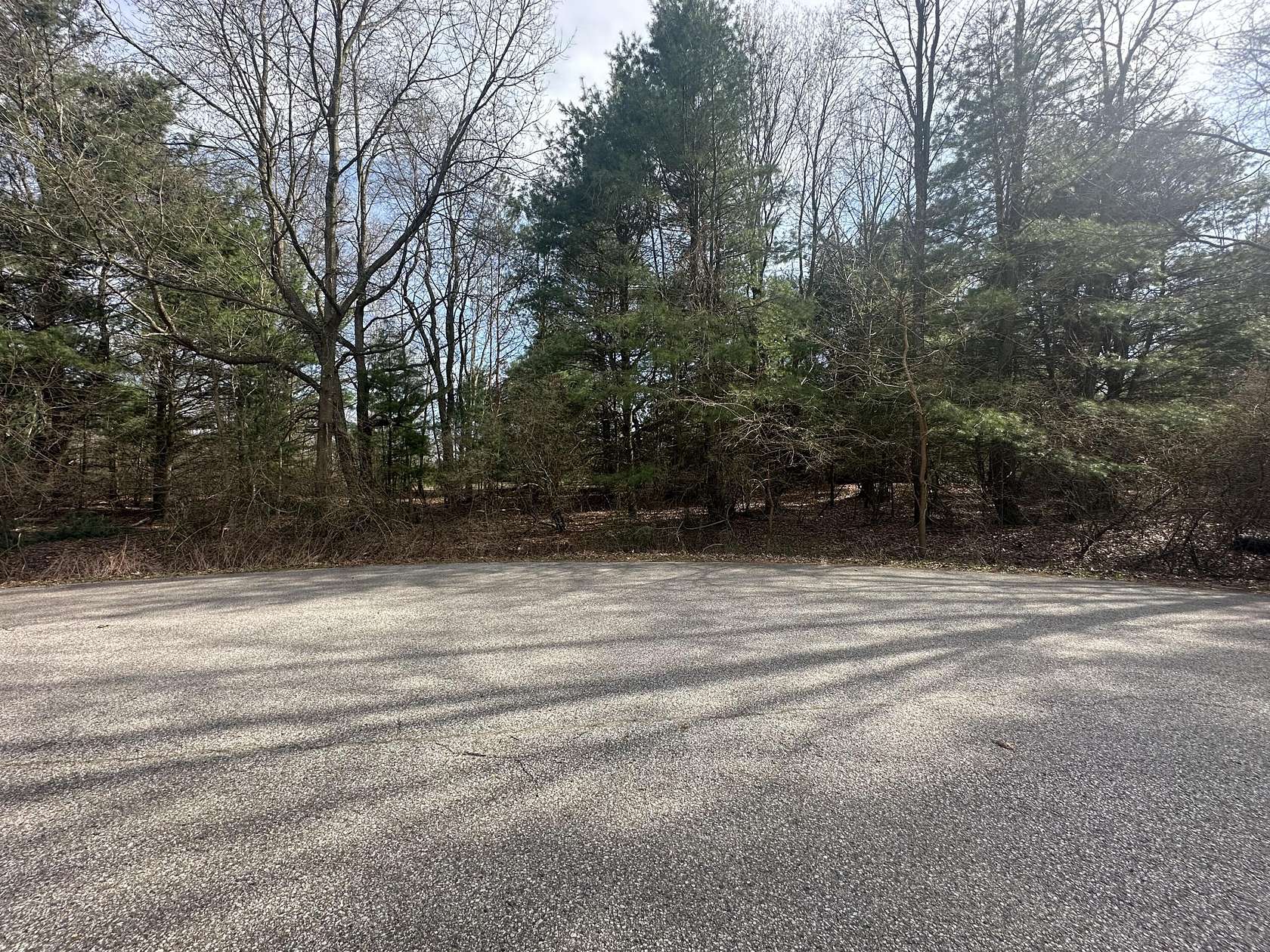 1 Acre of Residential Land for Sale in Hart, Michigan