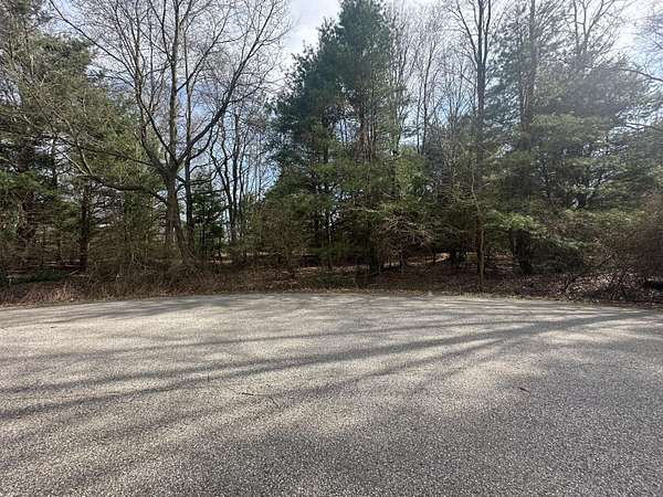 1 Acre of Residential Land for Sale in Hart, Michigan