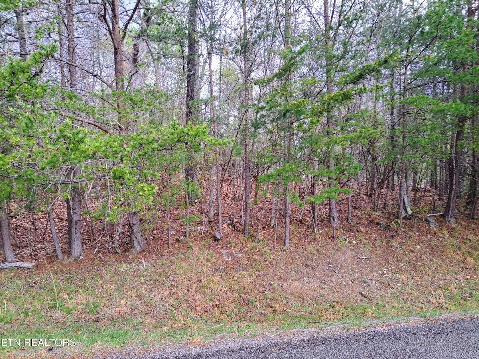 0.29 Acres of Residential Land for Sale in Crossville, Tennessee