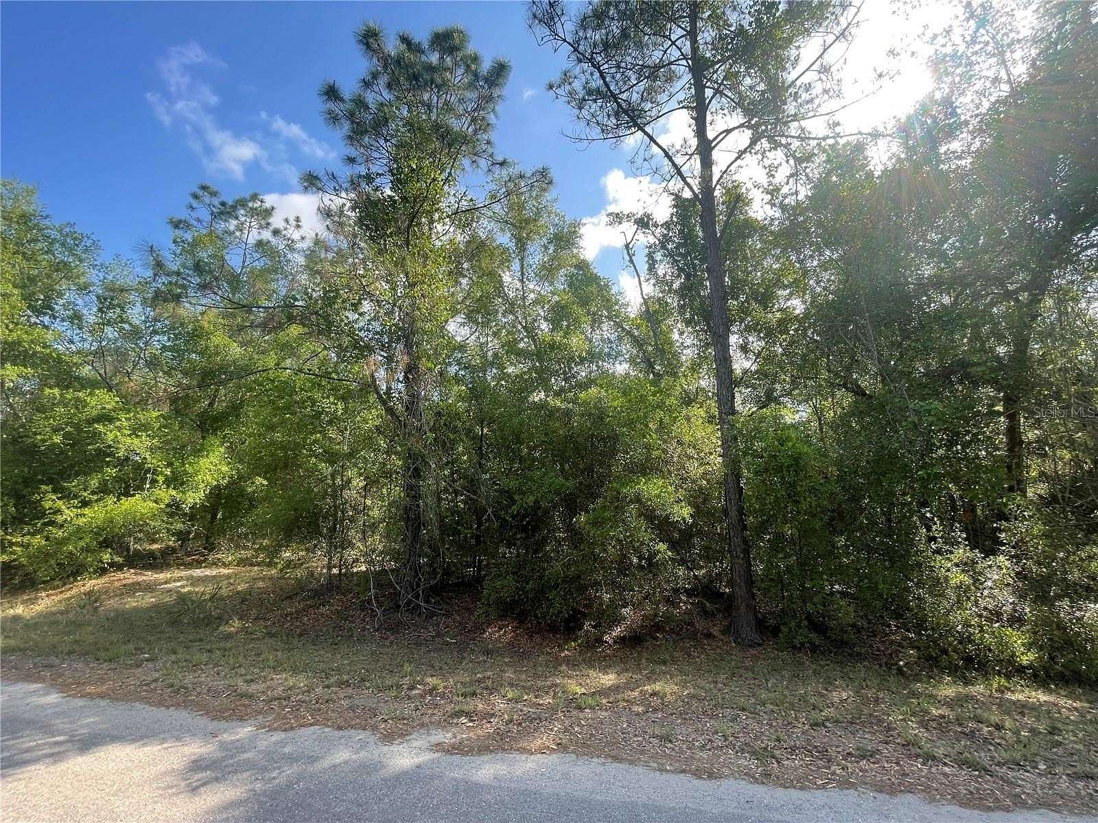 0.27 Acres of Residential Land for Sale in Ocklawaha, Florida