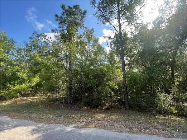 0.27 Acres of Residential Land for Sale in Ocklawaha, Florida