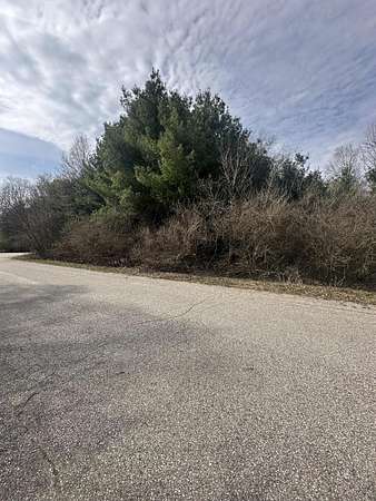 1 Acre of Residential Land for Sale in Hart, Michigan