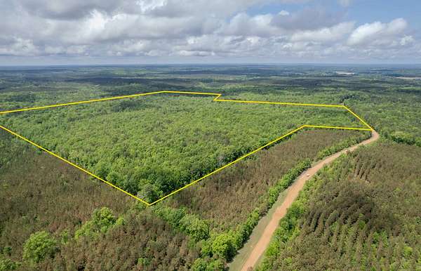 245 Acres of Recreational Land for Sale in Cadaretta, Mississippi
