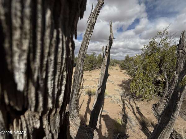 36.4 Acres of Land for Sale in St. Johns, Arizona