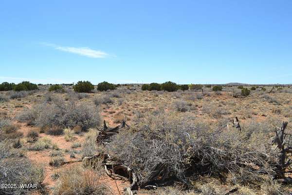 10 Acres of Land for Sale in Snowflake, Arizona