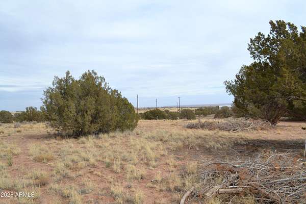 5 Acres of Land for Sale in Snowflake, Arizona