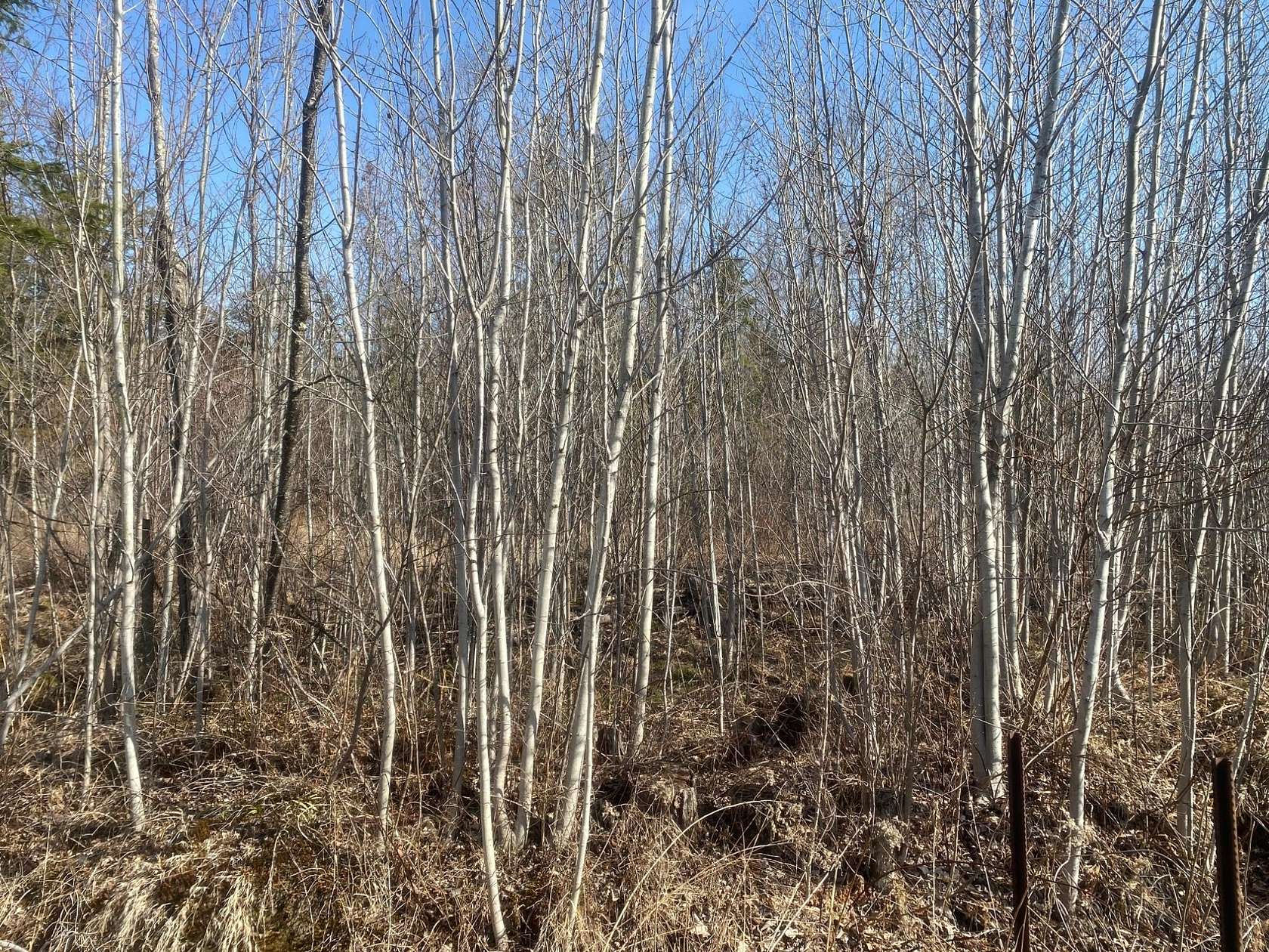 160 Acres of Land for Sale in Park Falls, Wisconsin