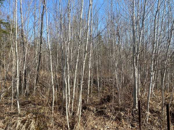 160 Acres of Land for Sale in Park Falls, Wisconsin