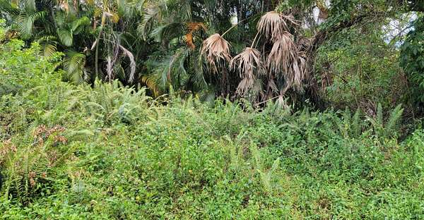 3.4 Acres of Residential Land for Sale in Stuart, Florida