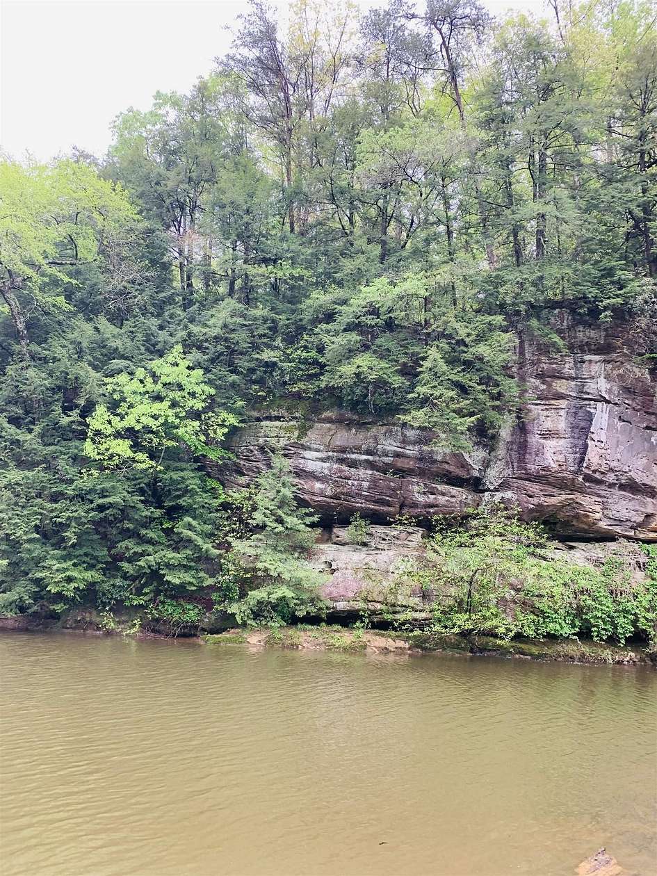 7 Acres of Residential Land for Sale in Phil Campbell, Alabama