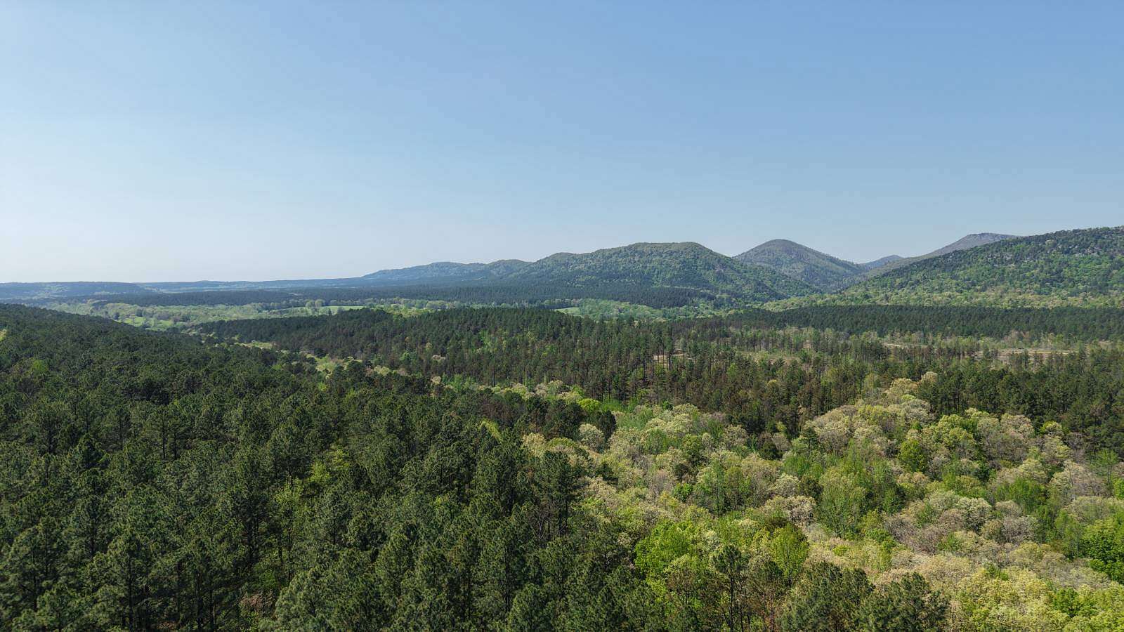 20 Acres of Recreational Land for Sale in Langley, Arkansas