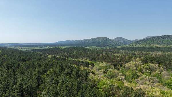 20 Acres of Recreational Land for Sale in Langley, Arkansas