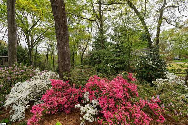 0.35 Acres of Residential Land for Sale in Greenville, South Carolina
