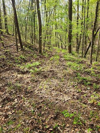 4.4 Acres of Land for Sale in Reliance, Tennessee