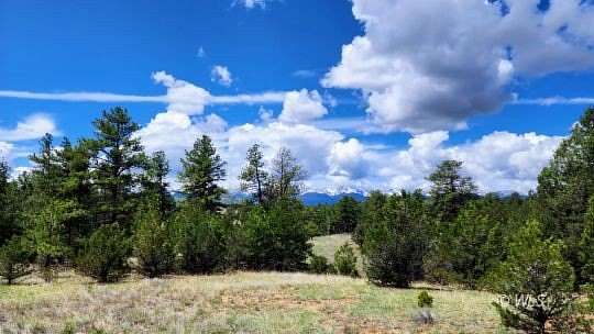 2.7 Acres of Residential Land for Sale in Cotopaxi, Colorado