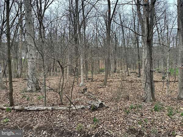 1.29 Acres of Residential Land for Sale in New Creek, West Virginia