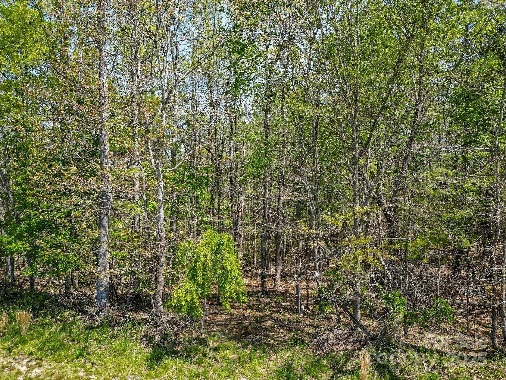 0.84 Acres of Land for Sale in Asheville, North Carolina