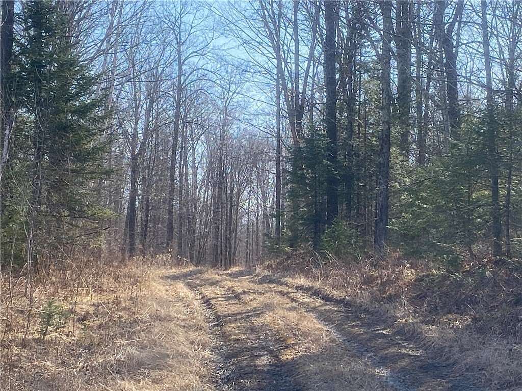 473 Acres of Recreational Land for Sale in Park Falls, Wisconsin