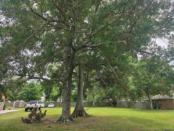 0.27 Acres of Residential Land for Sale in Gonzales, Louisiana