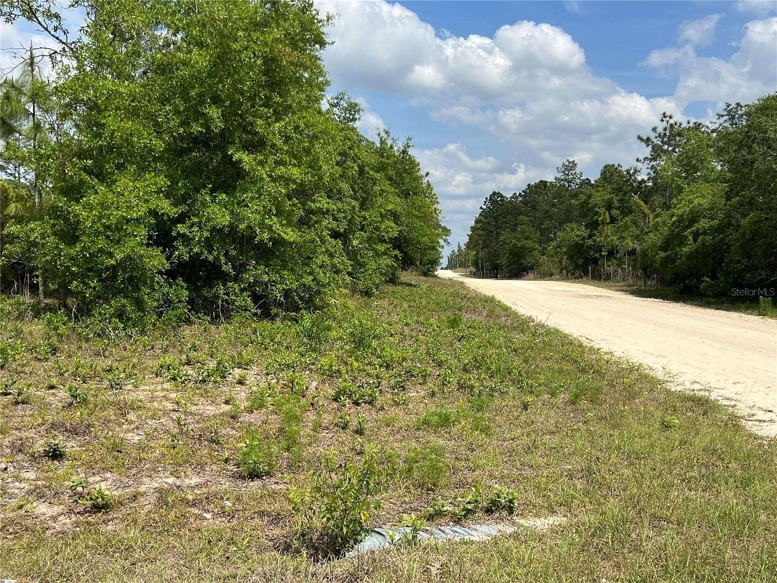 1 Acre of Residential Land for Sale in Williston, Florida