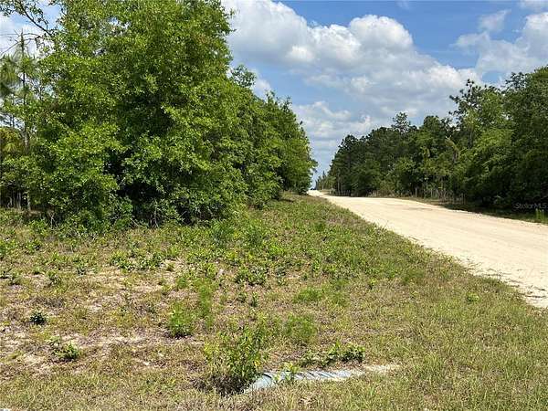 1 Acre of Residential Land for Sale in Williston, Florida