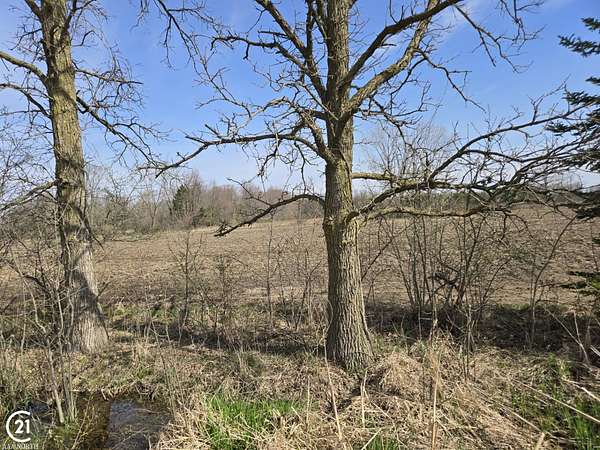 10 Acres of Land for Sale in Columbus, Michigan