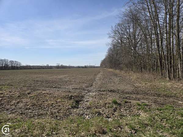 9.8 Acres of Residential Land for Sale in Columbus, Michigan