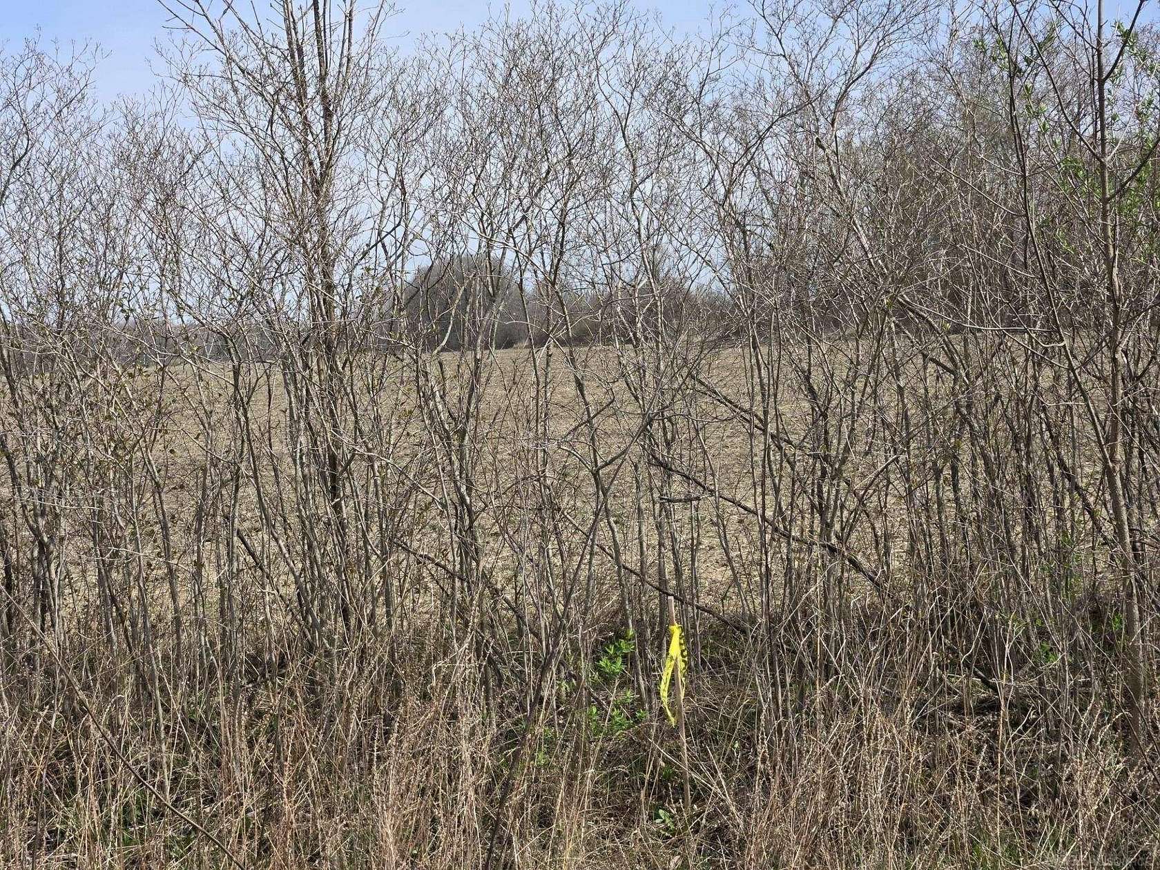 10 Acres of Residential Land for Sale in Richmond Township, Michigan